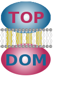 TOPDOM logo